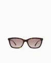 Emporio Armani Sunglasses In Brown
