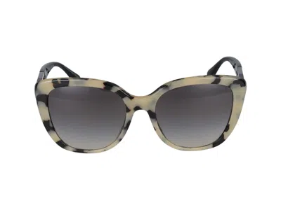 Emporio Armani Sunglasses In Cream Havana Glossy