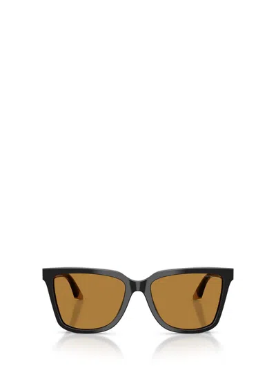 Emporio Armani Sunglasses In Multi