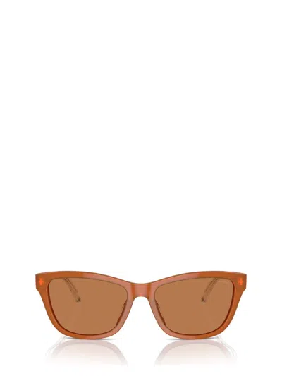 Emporio Armani Sunglasses In Opaline Orange