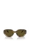 Emporio Armani Sunglasses In Shiny Striped Green