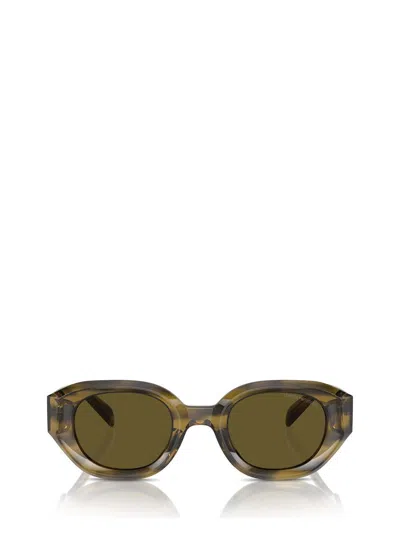 Emporio Armani Sunglasses In Shiny Striped Green