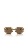 Emporio Armani Sunglasses In Striped Brown