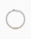 Emporio Armani Two-tone Stainless Steel Chain Bracelet In Multicoloured