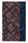 Emporio Armani Viscose-silk Blend Scarf In Multicolor