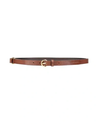 Emporio Armani Woman Belt Chocolate Brown Size 39.5 Cow Leather