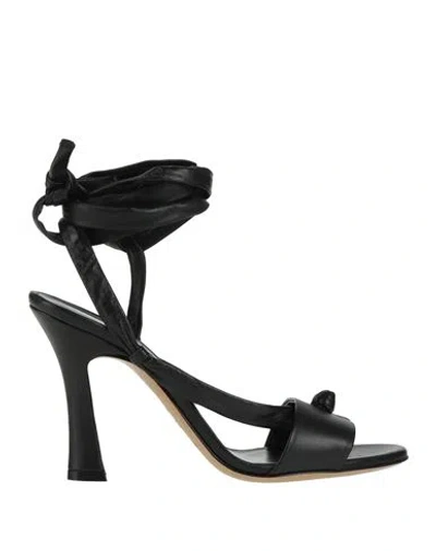 Emporio Armani Woman Sandals Black Size 5.5 Leather