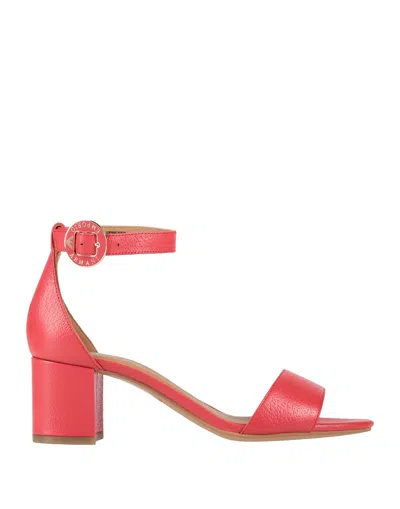 Emporio Armani Sandals In Red