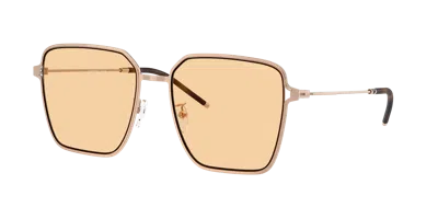 Emporio Armani Woman Sunglass Ea2159d In Brown