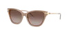 Emporio Armani Woman Sunglass Ea4251 In Gradient Brown