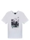 Emporio Armani Women's Printed Cotton T-shirt In White