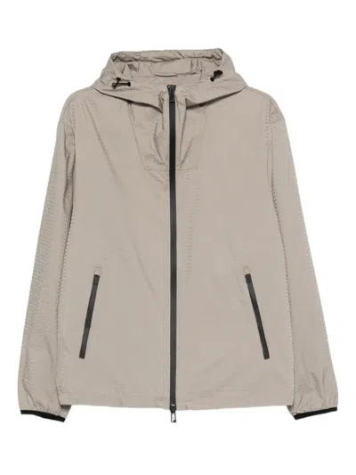 Emporio Armani Hooded Nylon Blouson Jacket Elastic Cuffs In Multi