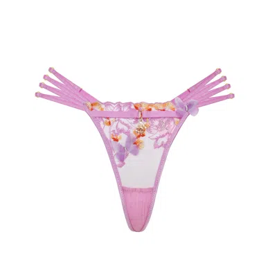 Empress Mimi Women's Pink / Purple Madame X Pink Lace G-string With Butterfly Detail In Pink/purple