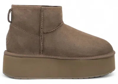 Pre-owned Emu Australia Women's  Micro Flatform Boot Sneakers In Coriander In Green