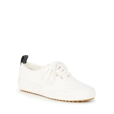 Emu Australia Women's Lark Lace-up Sneaker In Coconut In White