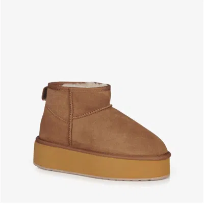 Emu Australia Women's Stinger Micro Flatform Boots In Chestnut In Brown