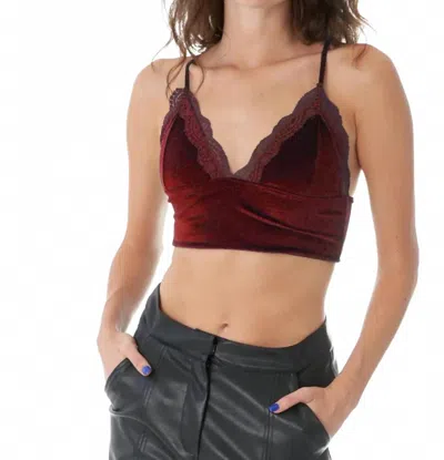 En Creme Zinnia Velvet Bralette In Burgundy In Red