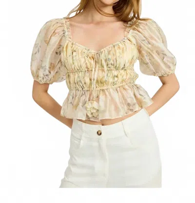 En Saison Elliot Organza Top In Beige In Multi