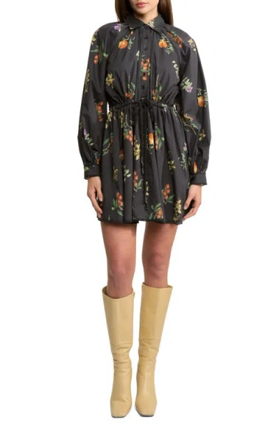 En Saison Kristie Long Sleeve Cotton Shirtdress In Black
