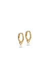 Enamel Copenhagen Belle Pearl Hoops In Gold