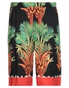 Endless Joy Date Palm Motif-print Bermuda Shorts In Black