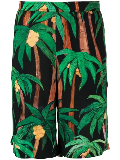 Endless Joy Palm Tree-print Bermuda Shorts In Schwarz
