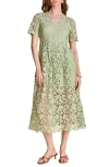 Endless Rose Allover Lace Midi Dress In Green