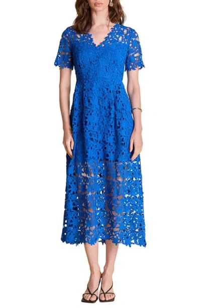 Endless Rose Allover Lace Midi Dress In Cobalt Blue