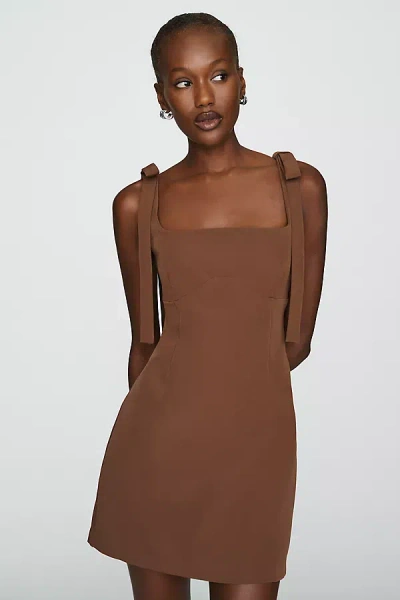 Endless Rose Bow-strap Shift Dress In Brown
