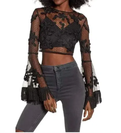 Endless Rose Floral Mesh Crop Top In Black