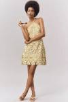 Endless Rose Halter Lace Mini Dress In Green