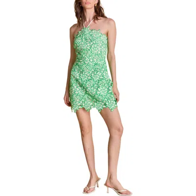 Endless Rose Halter Neck Guipure Lace Minidress