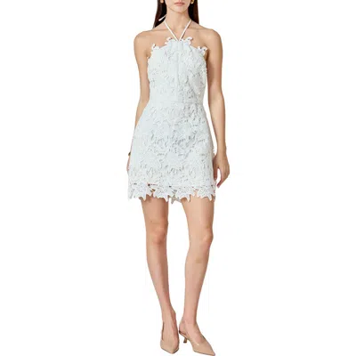 Endless Rose Halter Neck Guipure Lace Minidress In White