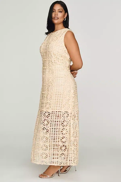 Endless Rose Lace Midi Dress In Neutral
