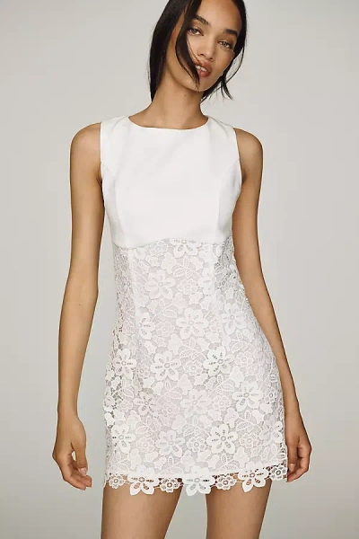 Endless Rose Lace Mini Dress In White