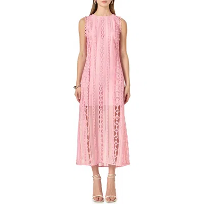 Endless Rose Lace Overlay Midi Dress In Pink