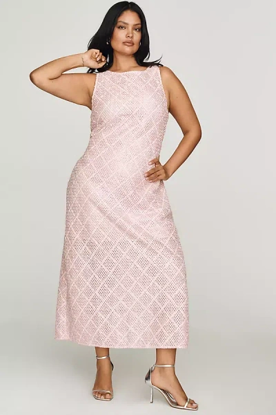 Endless Rose Mesh Midi Dress In Pink