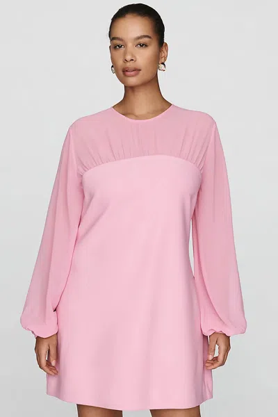 Endless Rose Plus Ruched Mini Dress In Pink