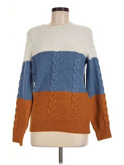 Pre-owned Endless Rose Pullover Sweater In Brown