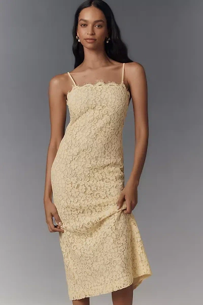 Endless Rose Scallop Lace Slim Midi Dress