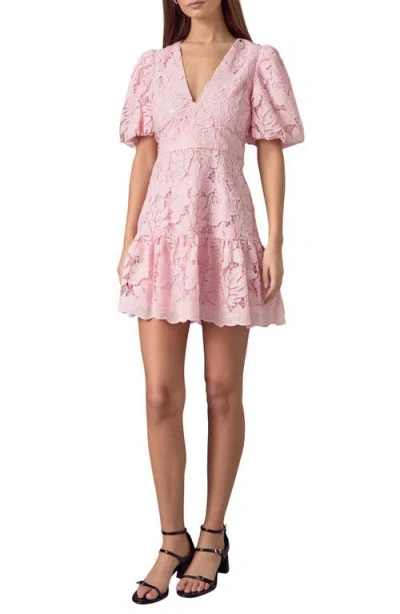 Endless Rose Sequin Lace Fit & Flare Minidress In Pink