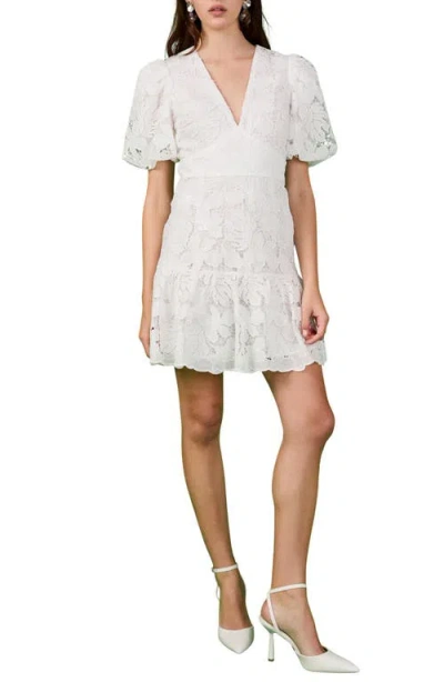Endless Rose Sequin Lace Fit & Flare Minidress In White