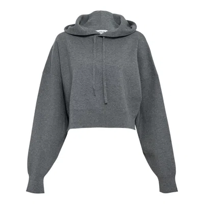 Enföld Cropped Hoodie In Gray