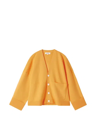Enföld Oversized V-neck Cardigan In Transparent