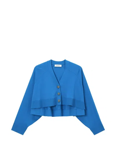 Enföld V-neck Long-sleeve Cardigan In Blue