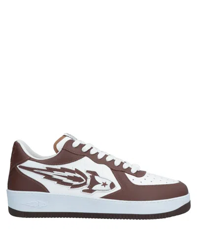 Enterprise Japan Sneakers In Brown