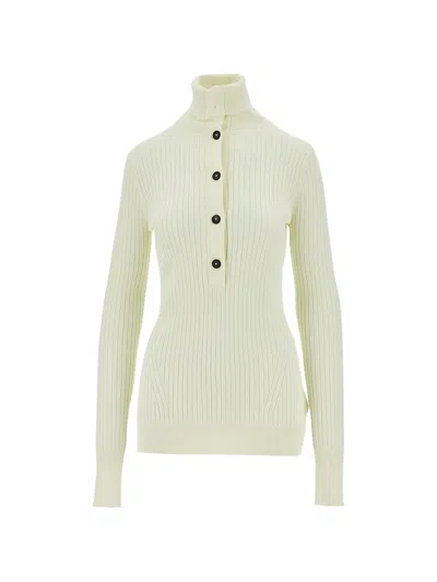 Entire Studios Button Turtleneck Sweater In Green