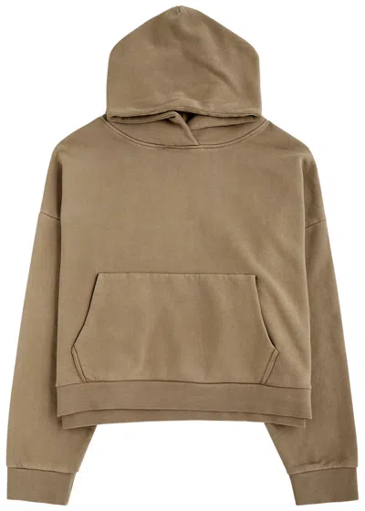 Entire Studios Faded Hooded Cotton Sweatshirt In Brown