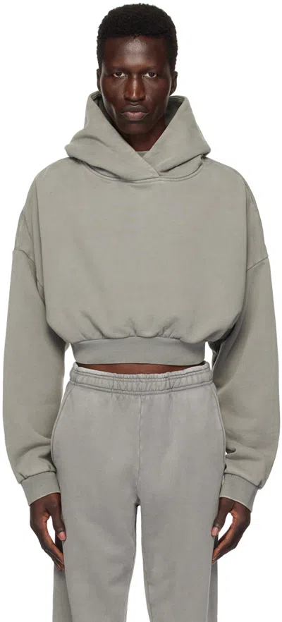 Entire Studios Heavy Cropped Hoodie In Rhino