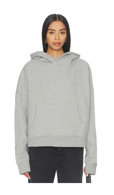 Entire Studios Heavy Hoodie In Gray